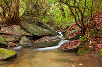 Chinquapin Trail Stream
