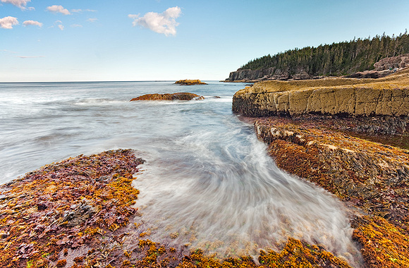 Near Otter Cliffs